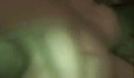 Noites brancas euforia ponro amador