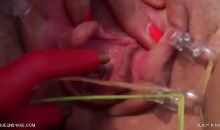 Um gatinho video de sexo selvagem amador tem uma forte beleza e olhar kittenen